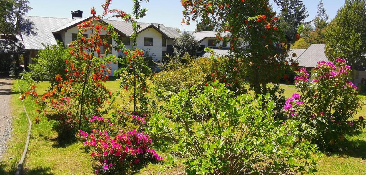 Bambu Lodge Pucon Ngoại thất bức ảnh