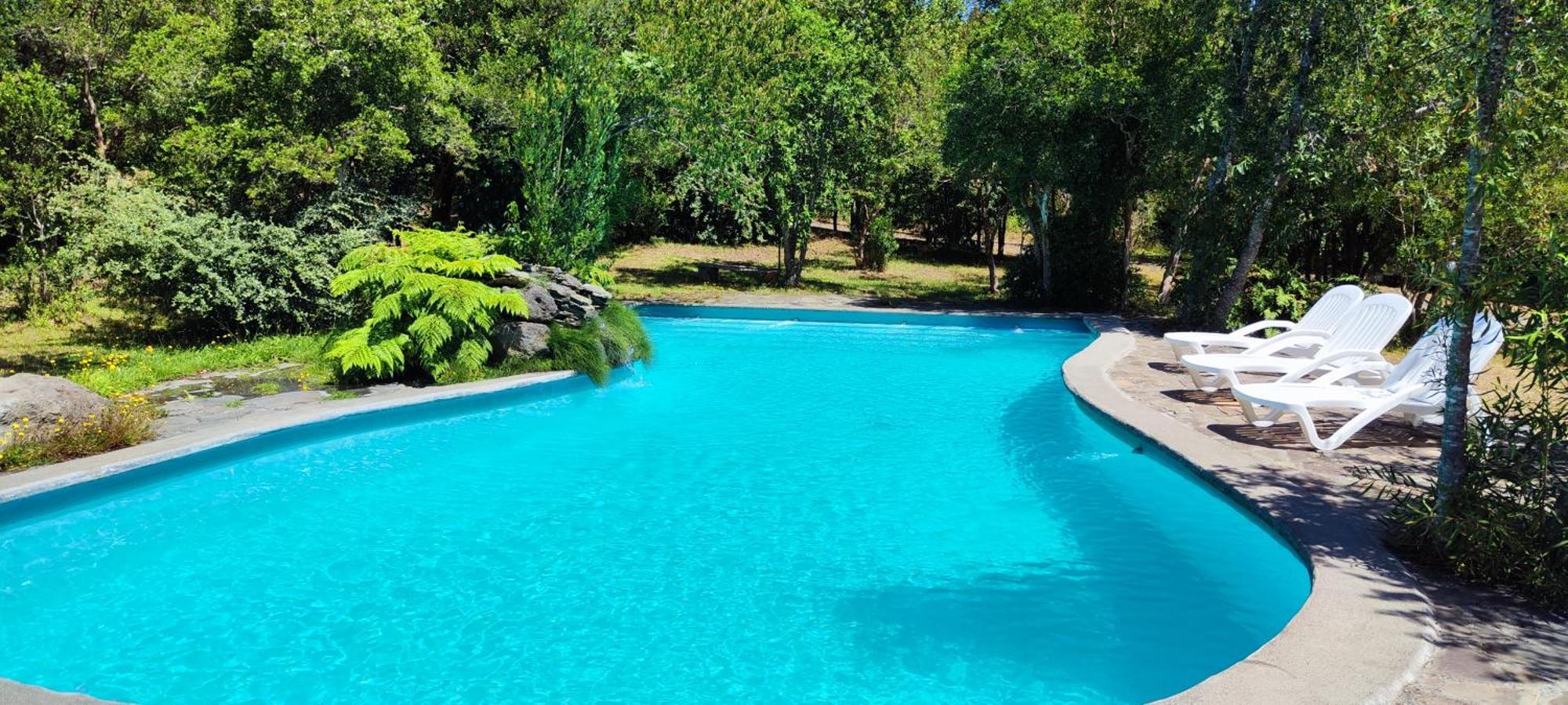 Bambu Lodge Pucon Ngoại thất bức ảnh
